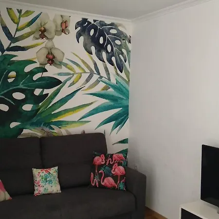 Atico Fenicia * 加的斯